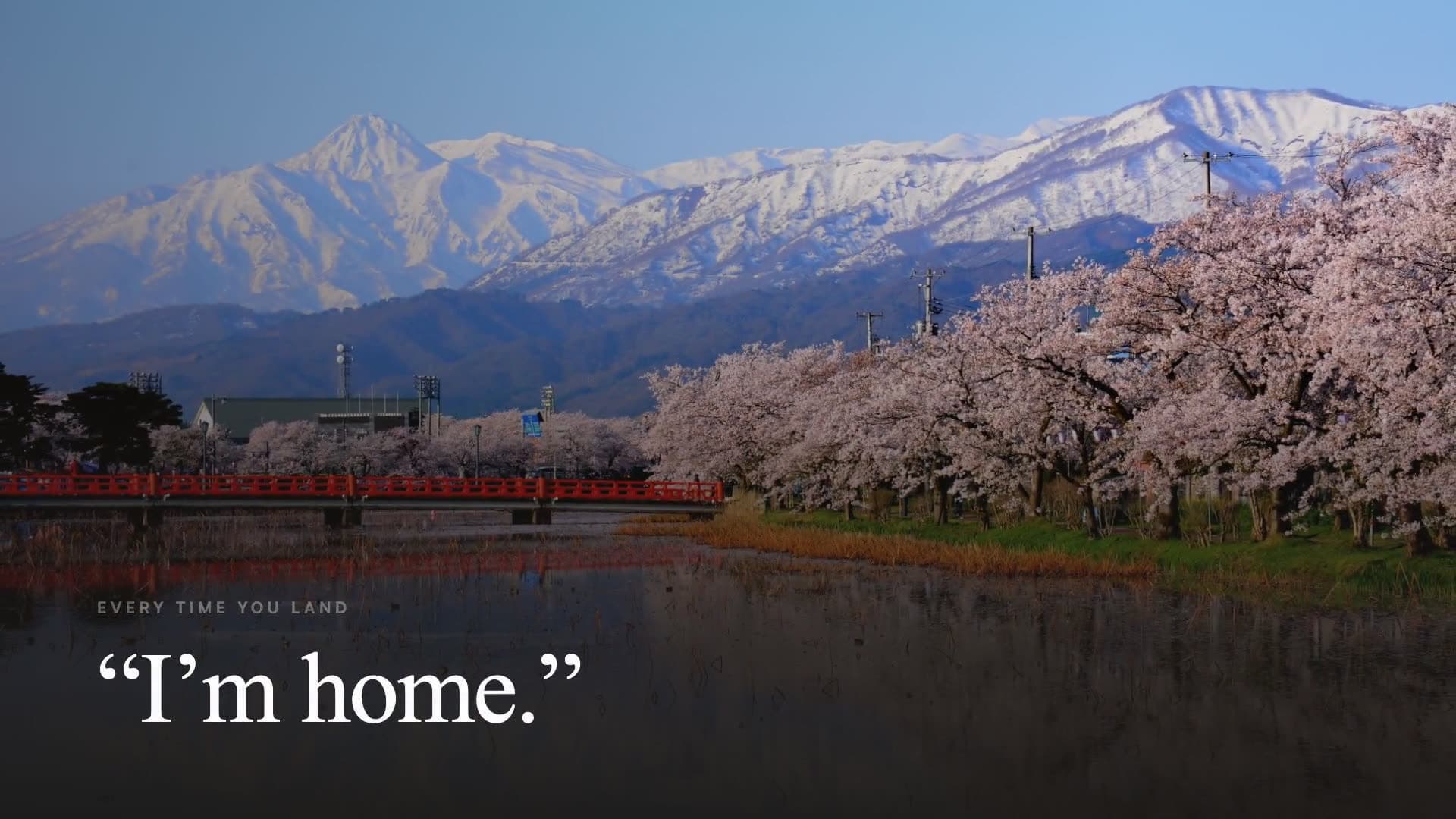 Cherry trees in full bloom along the water at Takada, a red bridge beyond them and snow still on the Myōkō range, captioned “I’m home.”