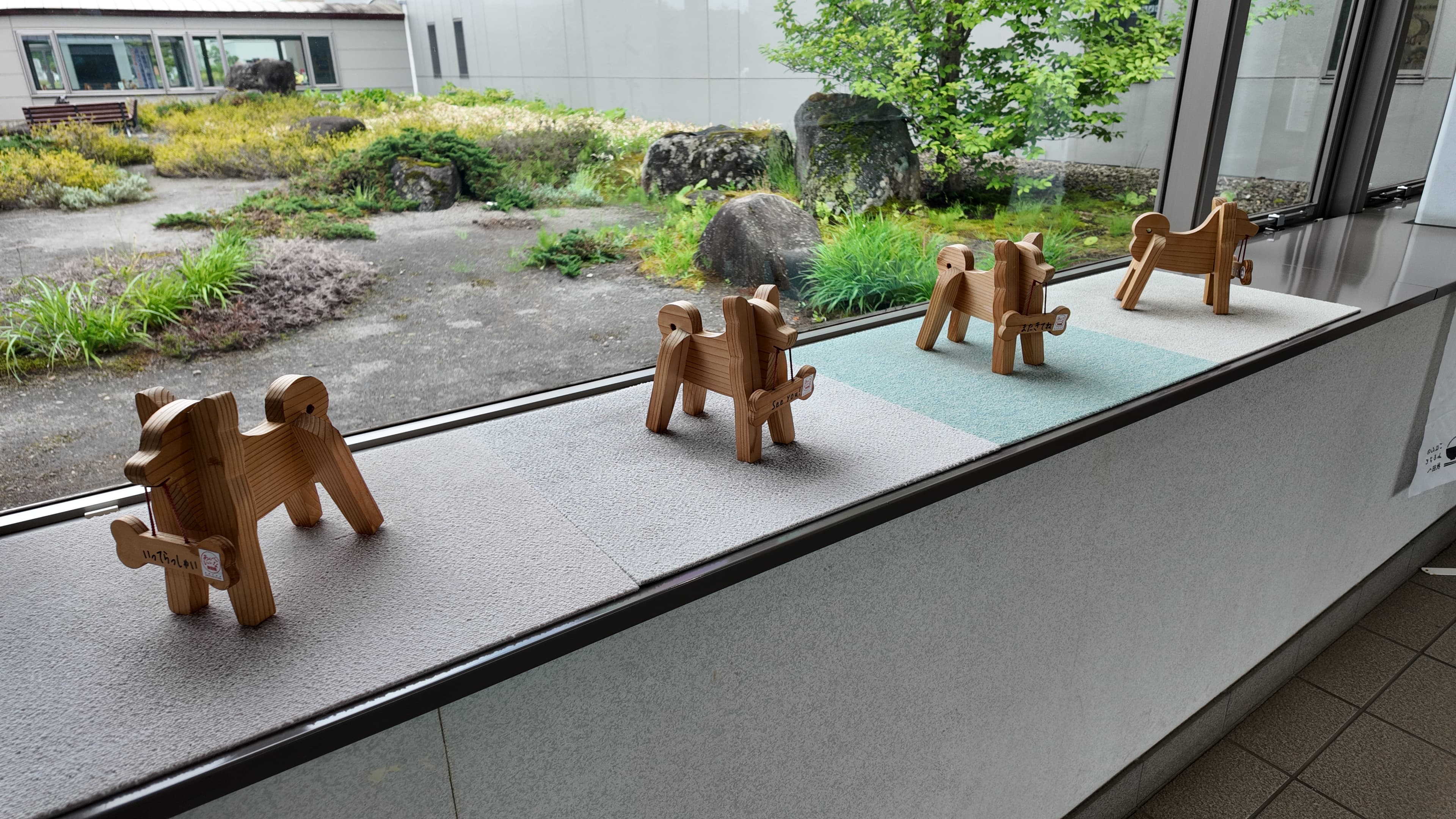 Kita-Akita — on-the-ground photo