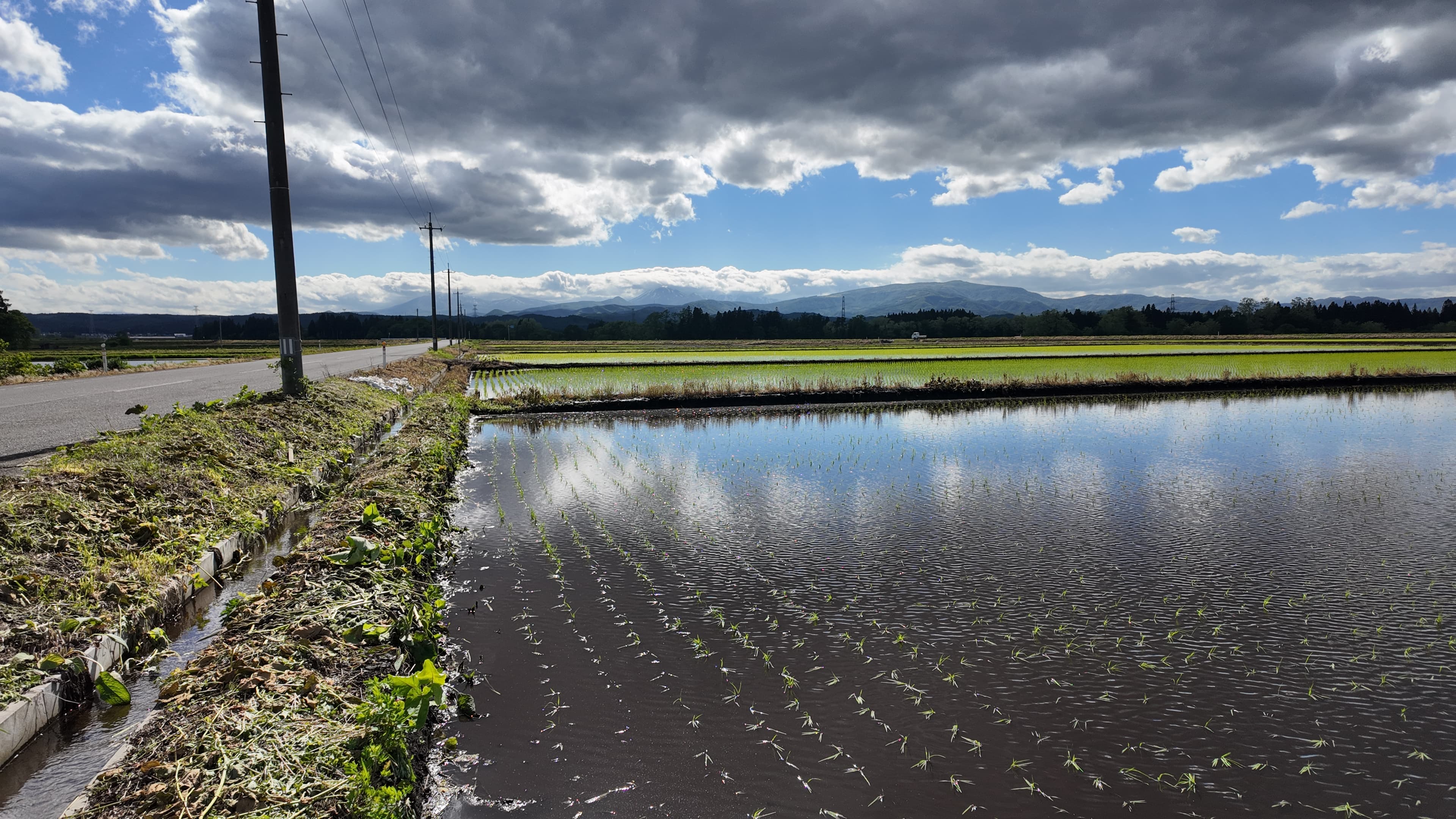Tohokumachi — on-the-ground photo